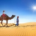 Camel Safari in Rajasthan: Cost, Best Time & Tips