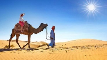 Camel Safari in Rajasthan: Cost, Best Time & Tips