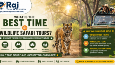 What is the Best Time for Wildlife Safari Tours?