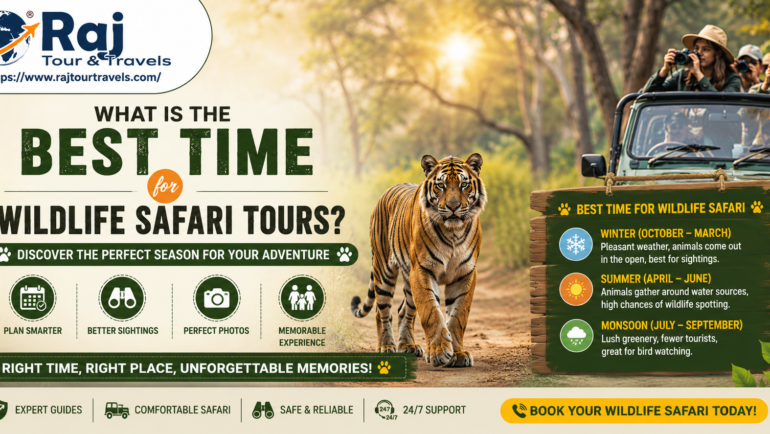 What is the Best Time for Wildlife Safari Tours?