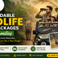 Affordable Wildlife Tour Packages for Families