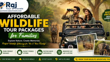 Affordable Wildlife Tour Packages for Families