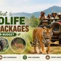 Best Wildlife Tour Packages Under Budget