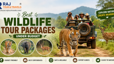 Best Wildlife Tour Packages Under Budget