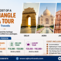 Golden Triangle Mandawa Tour