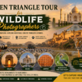 Golden Triangle Tour for Wildlife Photographers combines the cultural highlights of Delhi, Agra, and Jaipur with thrilling safari experiences in Ranthambore or Bharatpur, creating a perfect itinerary for capturing both architecture and wildlife.