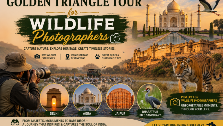 Golden Triangle Tour for Wildlife Photographers combines the cultural highlights of Delhi, Agra, and Jaipur with thrilling safari experiences in Ranthambore or Bharatpur, creating a perfect itinerary for capturing both architecture and wildlife.